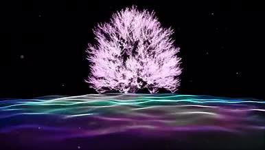 树唯美烂漫波纹海洋璀璨星空梦幻舞台晚会视频的预览图